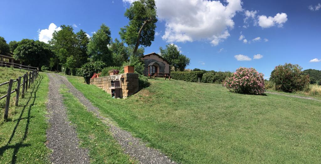 Il Castoro Di Martignano Villa Anguillara Sabazia Eksteriør billede