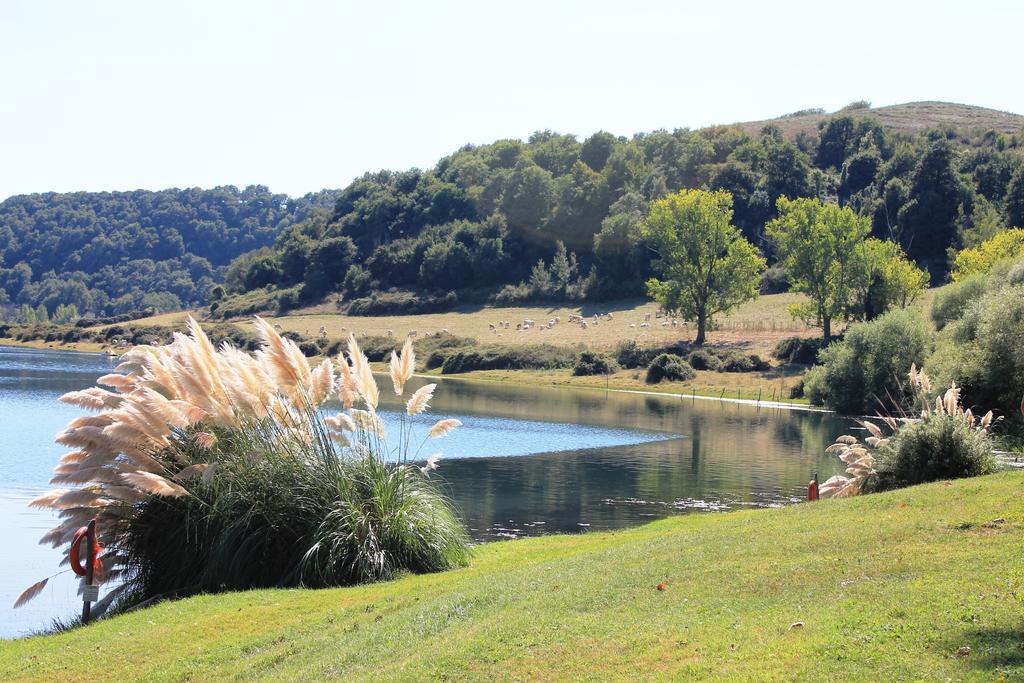 Il Castoro Di Martignano Villa Anguillara Sabazia Eksteriør billede